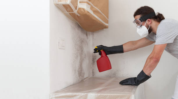 Professional Basement Mold Remediation technician working in Fairfax Station, VA