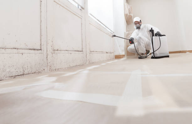 24/7 Emergency Basement Mold Remediation experts in Fairfax Station, VA
